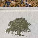 Catalina and Lucas: letterpress invitation with tree motif and garden liner