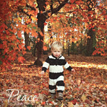 Peace: custom designed photo holiday card