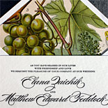Elana and Matthew: This beautiful grapevine illustration was used for the save the date and became a stunning liner with this elegant letterpress invitation.