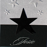 Josie: metallic, Oscar themed Bat Mitzvah invitation with velvet elements and die cut star