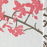 Christina and James: cherry blossoms appropriately grace this lovely letterpressed pocket fold invitation for a Brooklyn Botanical Garden wedding