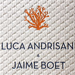 Luca and Jaime: dual language, destination beach wedding invitation, letterpressed with wave pattern and coral