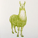 Adrian and Ryan: 2 color letterpress invitation with green branches, llamas, custom illustration map and liner